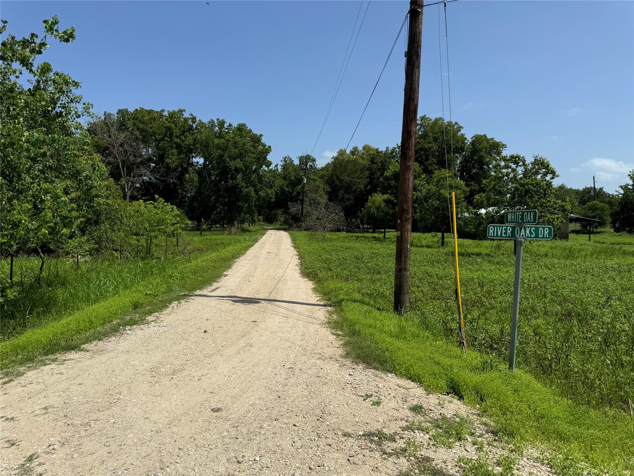 0 White Oak Drive Trinity, TX 75862 - Photo 5 of 6 a view of a park with plants