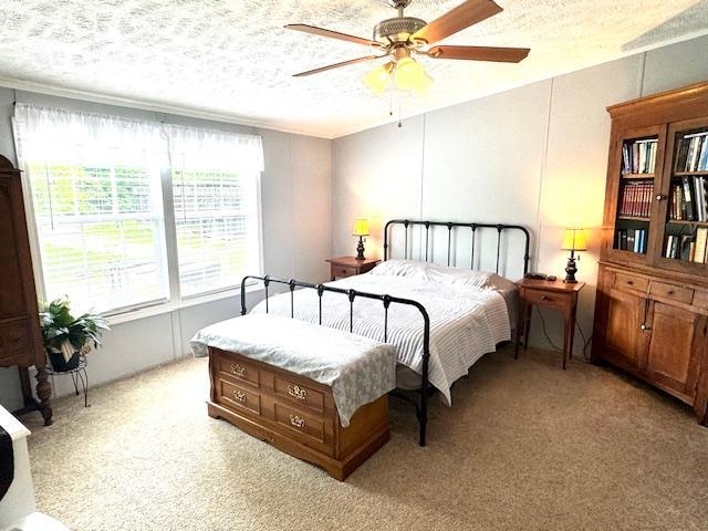 281 Craig Branch Road Olive Hill, KY 41164 - Photo 11 of 27
