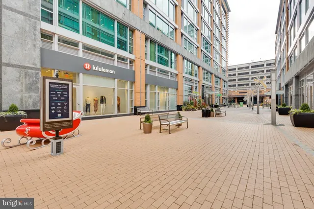 a view of a park with large trees
