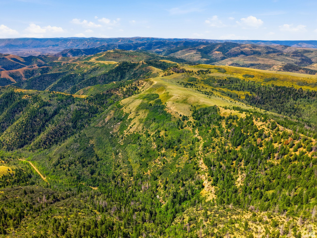 10780 Ford Ridge Road Helper, UT 84526 - Photo 14 of 38 Expansive mountain landscape with diverse topography, featuring dense evergreen forests and open grassy slopes