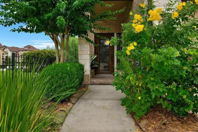 a view of a pathway of the plants