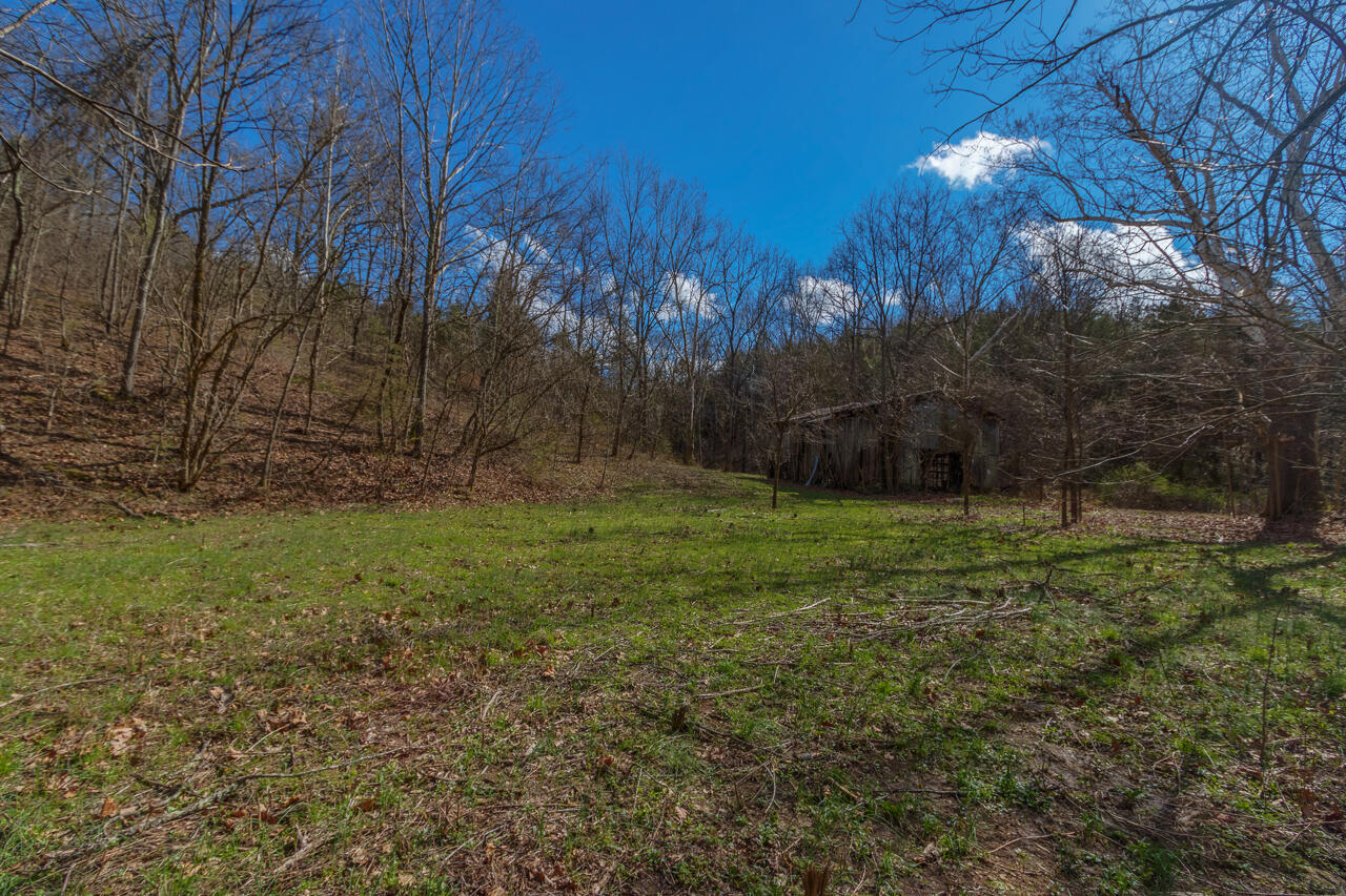 1 Camp Pleasant Road Frankfort, KY 40601 - Photo 4 of 67 015-2918-Cedar-Rd-Stamping-Ground-KY-403