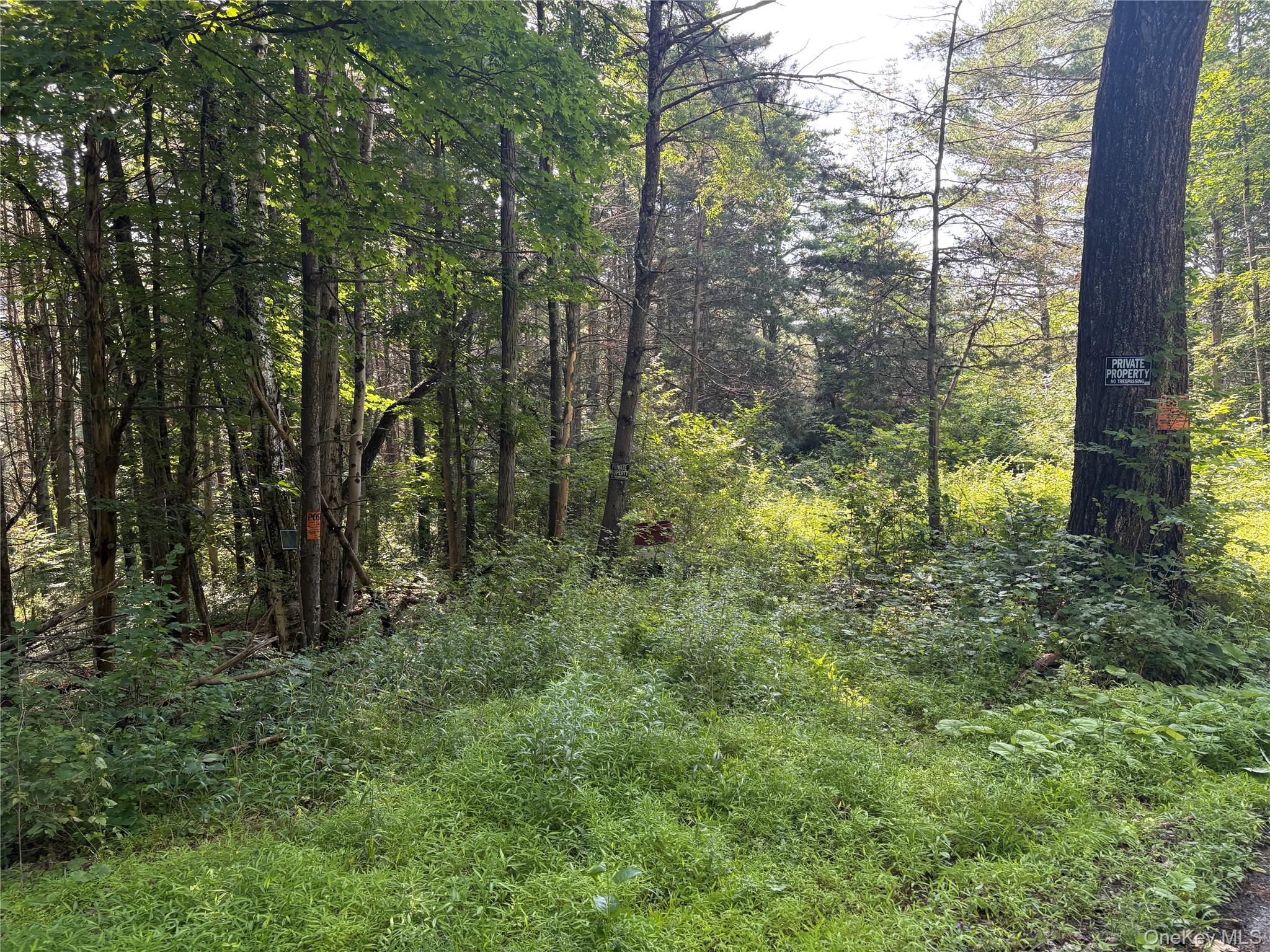 Crescent Road Gilboa, NY 12076 - Photo 6 of 7 Gallery Image 6