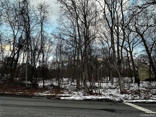 a view of a yard with trees