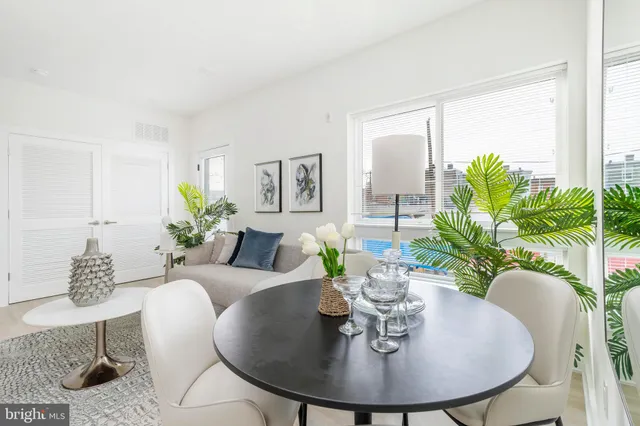 a dining room with furniture and a potted plant