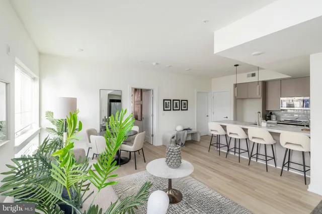 a living room with furniture potted plant and kitchen view