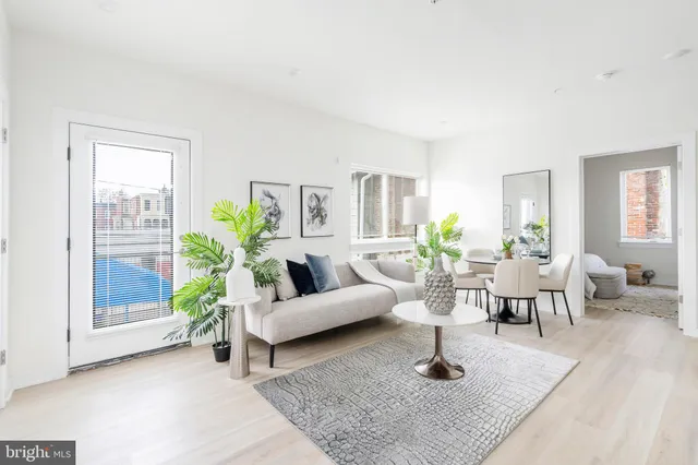 a living room with furniture potted plant and windows