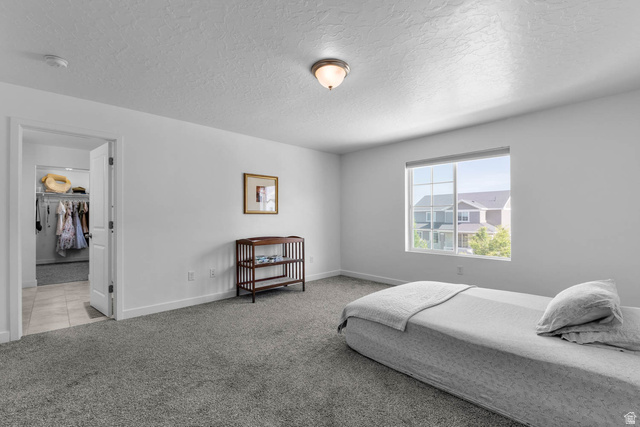 703 West 950 S Street Springville, UT 84663 - Photo 14 of 27