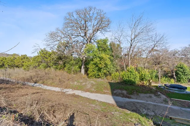 a view of a yard with plants and trees