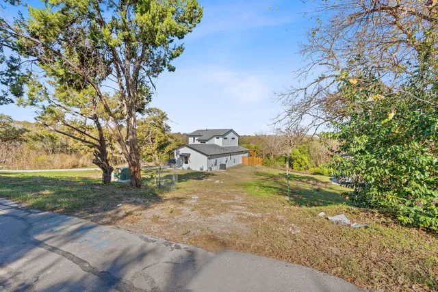a view of a yard with plants and trees