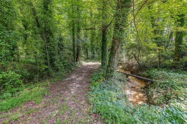 a view of outdoor space and trees all around
