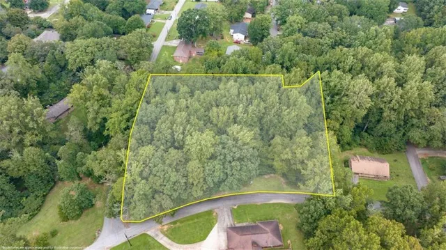 a view of a yard with plants