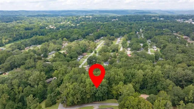 a view of a bunch of trees and mountains