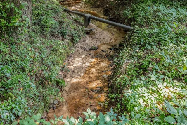 a view of a forest with a forest