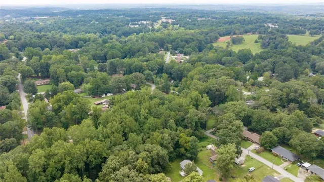 a view of a lush green forest with trees and some houses