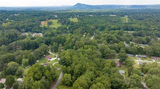 an aerial view of a forest