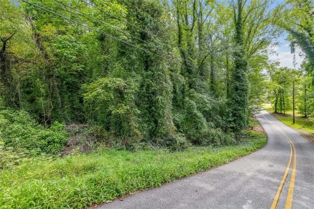 a view of a yard with plants and large trees