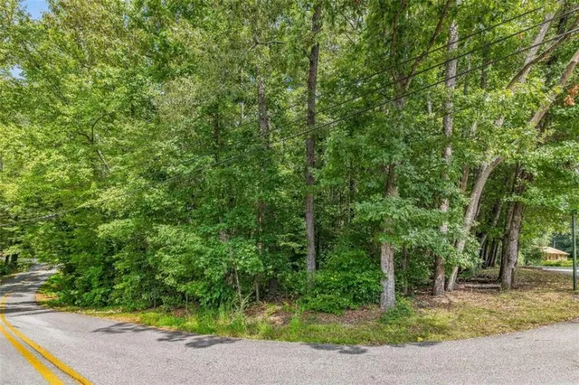 a view of a yard with plants and trees beside of it