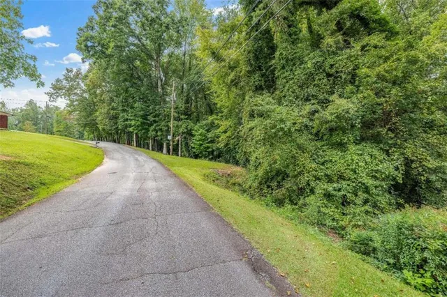 a view of a yard with a plants and trees