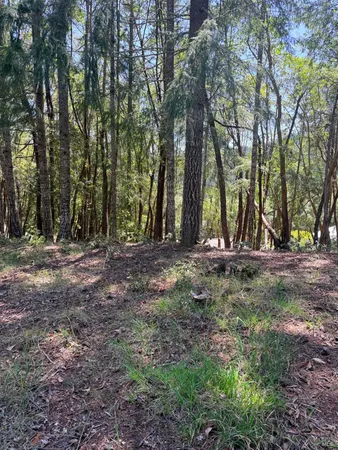 $3,500 | 26940 Bear Drive, Willits, CA 95490