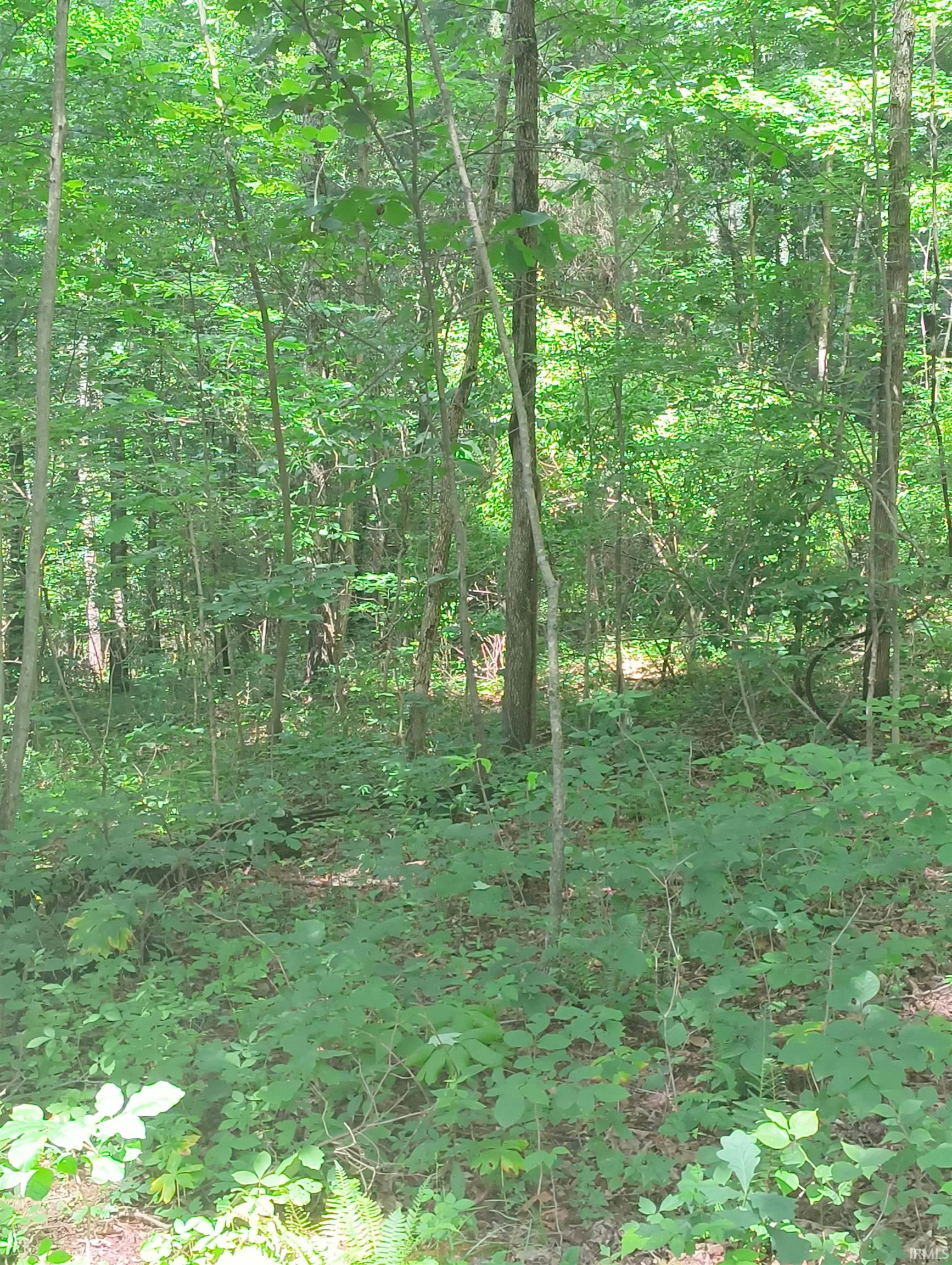 2500 South Coalmine Road Bloomfield, IN 47424 - Photo 8 of 12