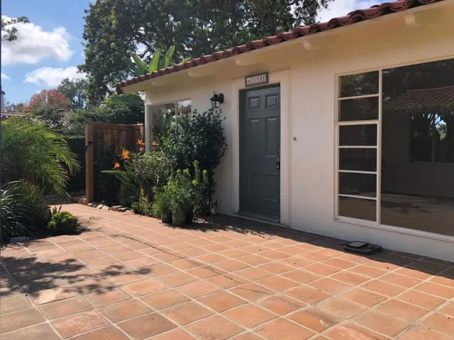 a view of backyard with potted plants and a large tree