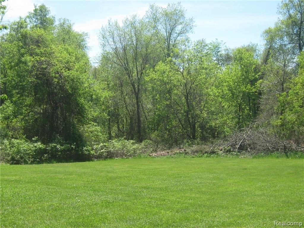 7251 Rattalee Lake Road Clarkston, MI 48348 - Photo 72 of 80 IMG_7037.JPG