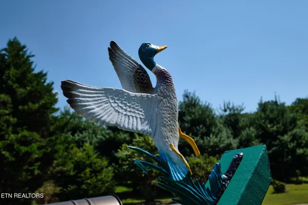 $1,600 | 399 Texas Lane, Kingston, TN 37763