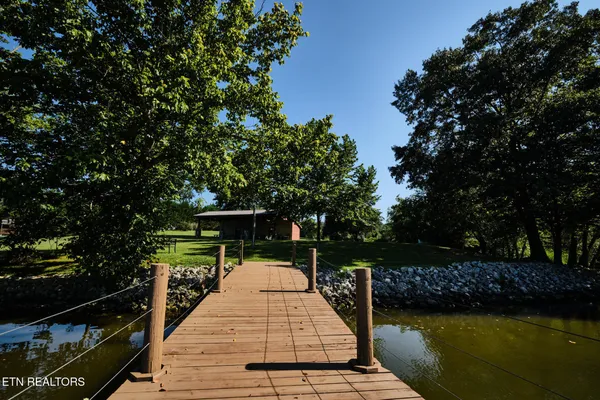 a view of a park with a tree