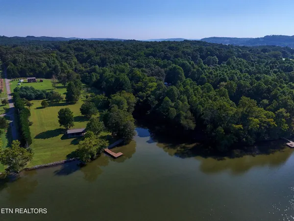 a view of a lake with a tree in the background