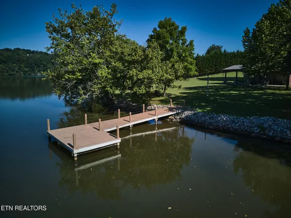 a view of a lake in middle of forest