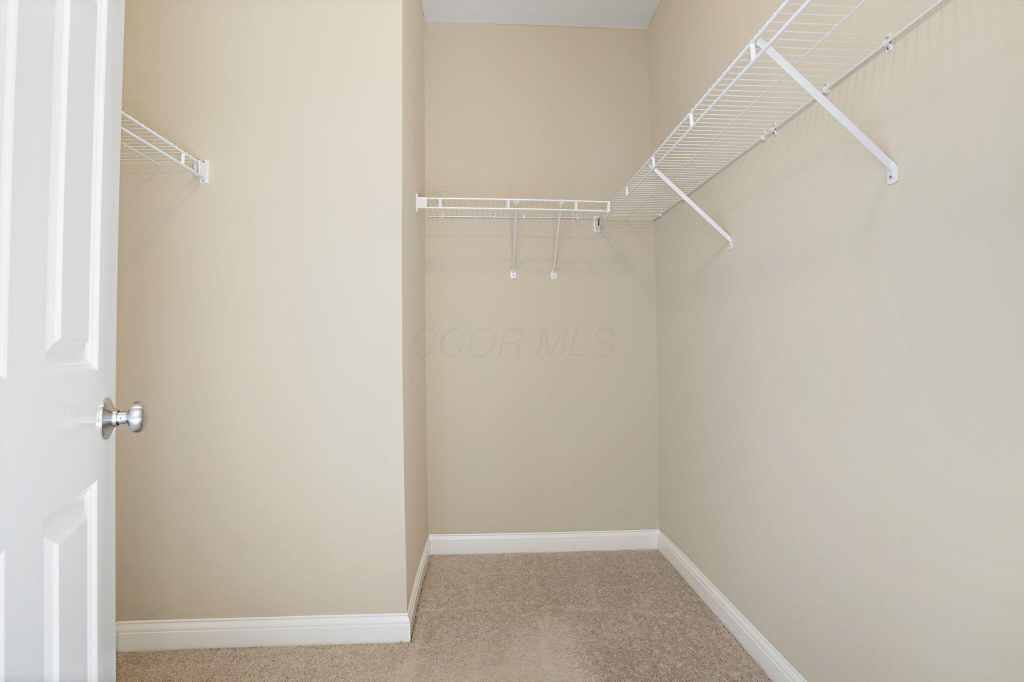 6313 Chetti Drive Columbus, OH 43213 - Photo 36 of 88 Owner Walk-in Closet