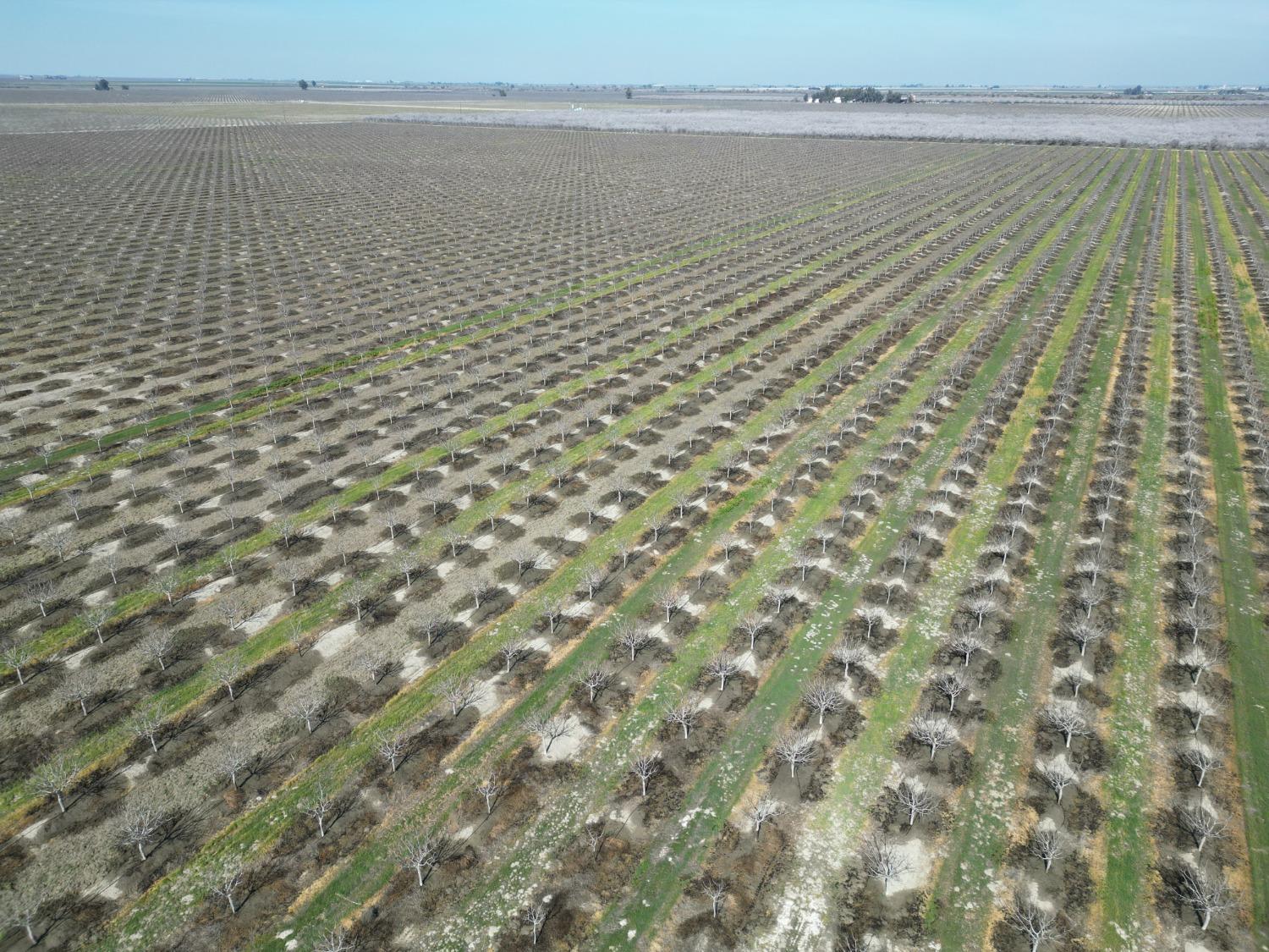 0 Moc: Oliveira Ranch Lemoore, CA 93245 - Photo 16 of 25 a view of an ocean