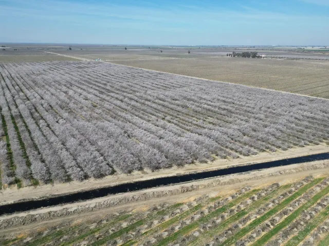 a view of a lake from a yard