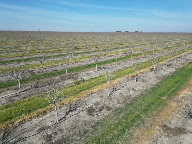 a view of an ocean beach