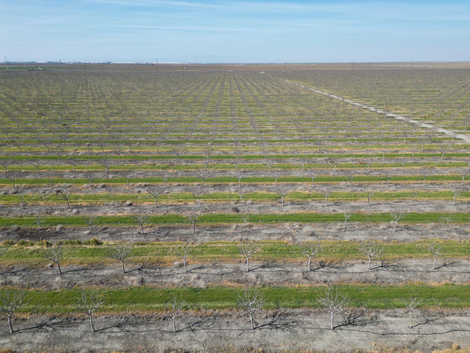 0 Moc: Oliveira Ranch Lemoore, CA 93245 - Photo 5 of 25 a view of an ocean