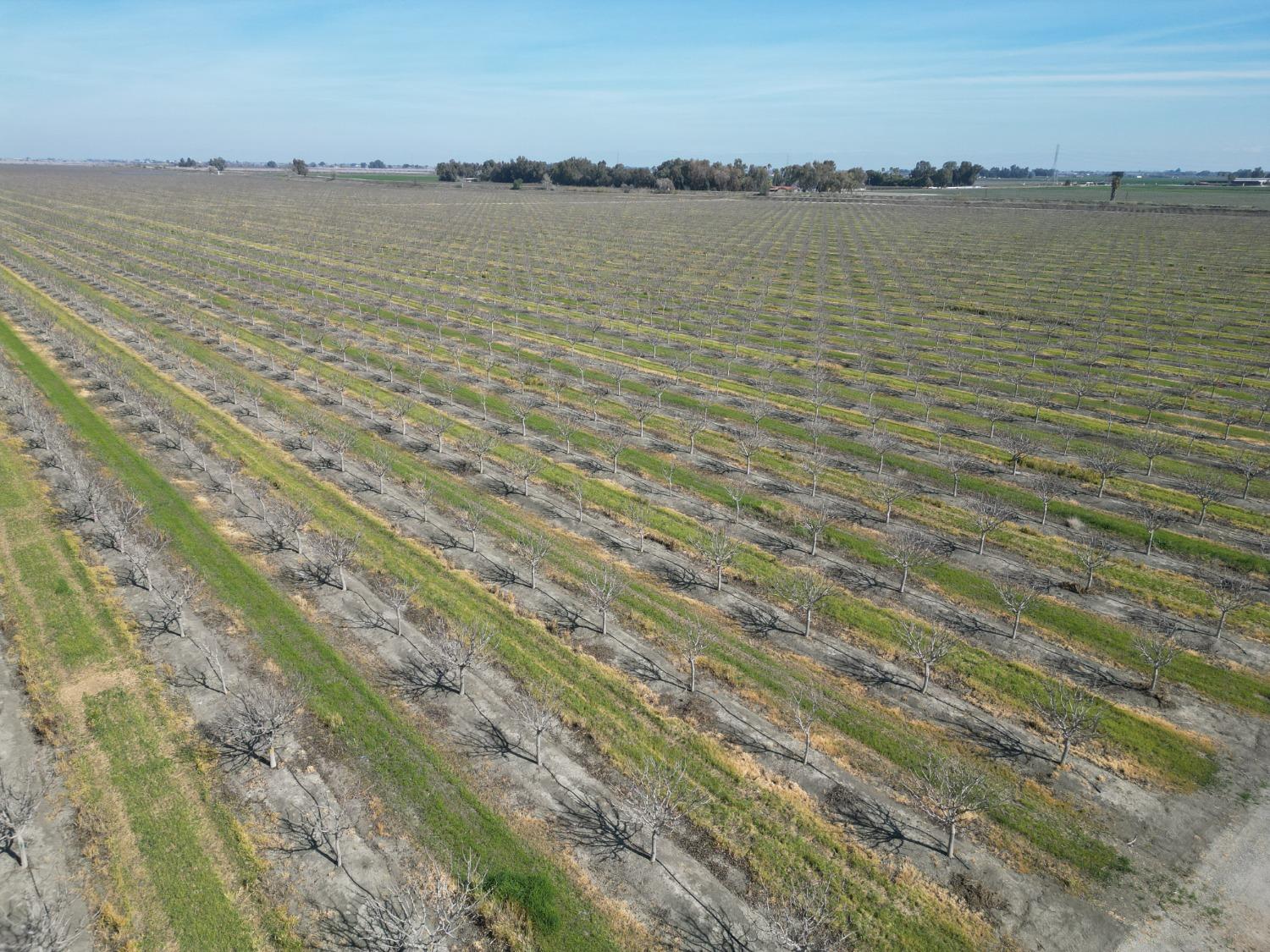 0 Moc: Oliveira Ranch Lemoore, CA 93245 - Photo 6 of 25 a view of an ocean