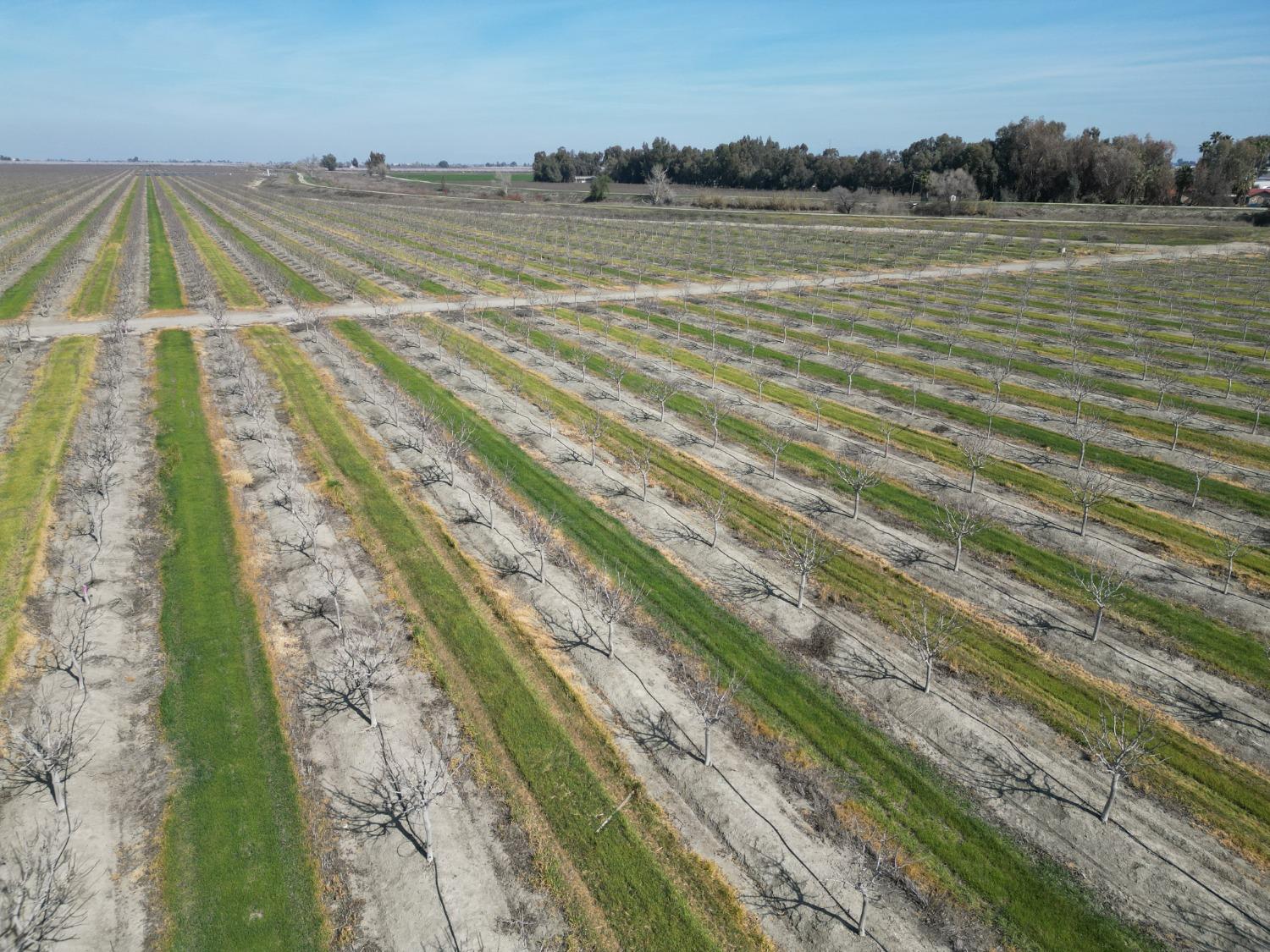 0 Moc: Oliveira Ranch Lemoore, CA 93245 - Photo 7 of 25 a view of an outdoor space and a lake view