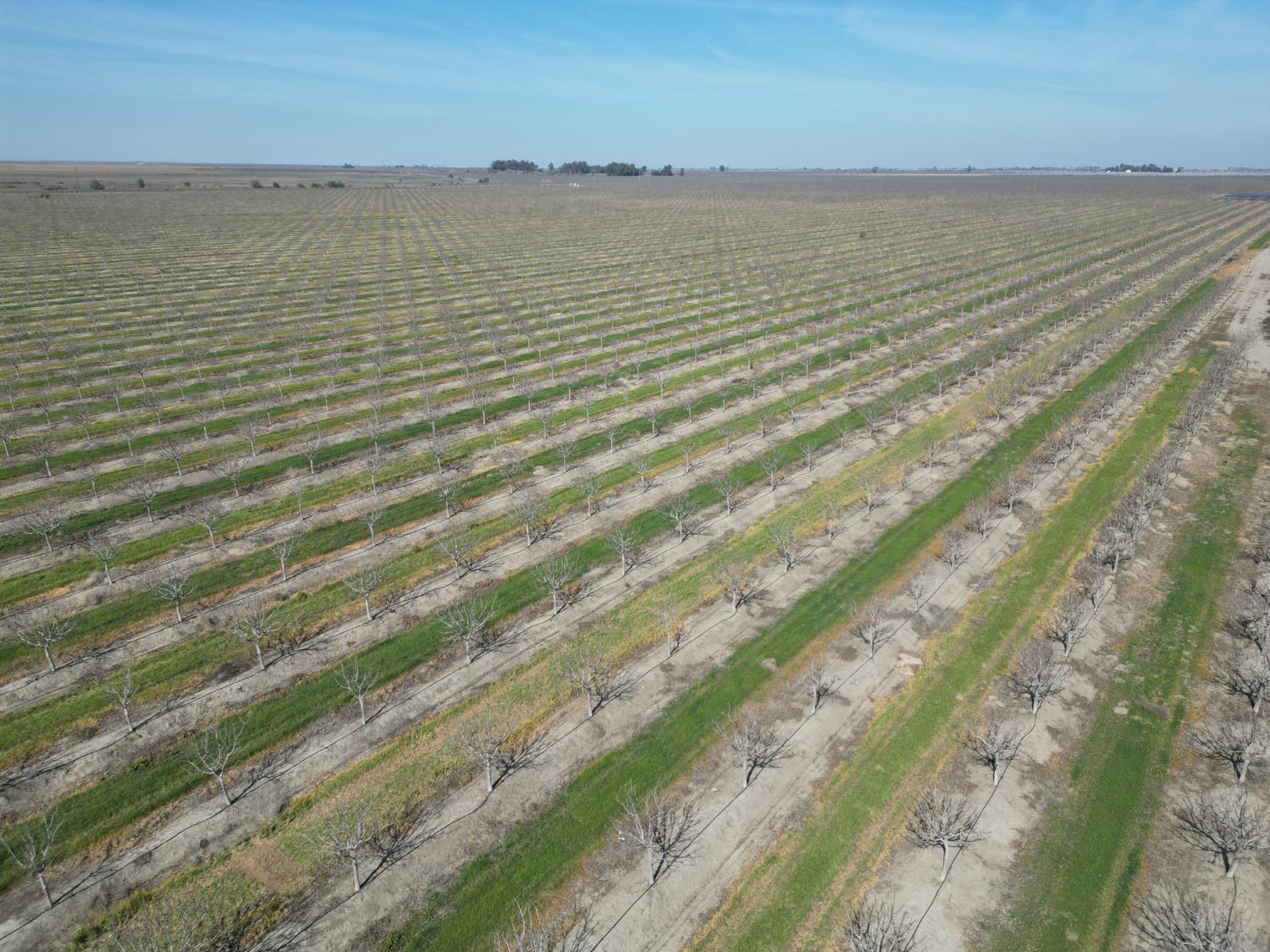 0 Moc: Oliveira Ranch Lemoore, CA 93245 - Photo 9 of 25 a view of an ocean
