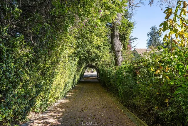 a view of a yard with plants and trees