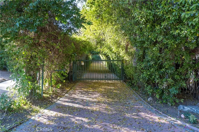 a view of a yard with plants and trees