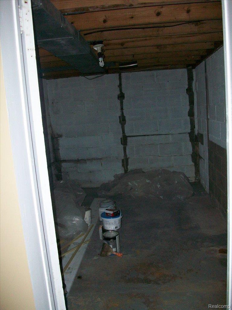 501 County Farm Road Howell, MI 48843 - Photo 11 of 22 Basement Storage Rm