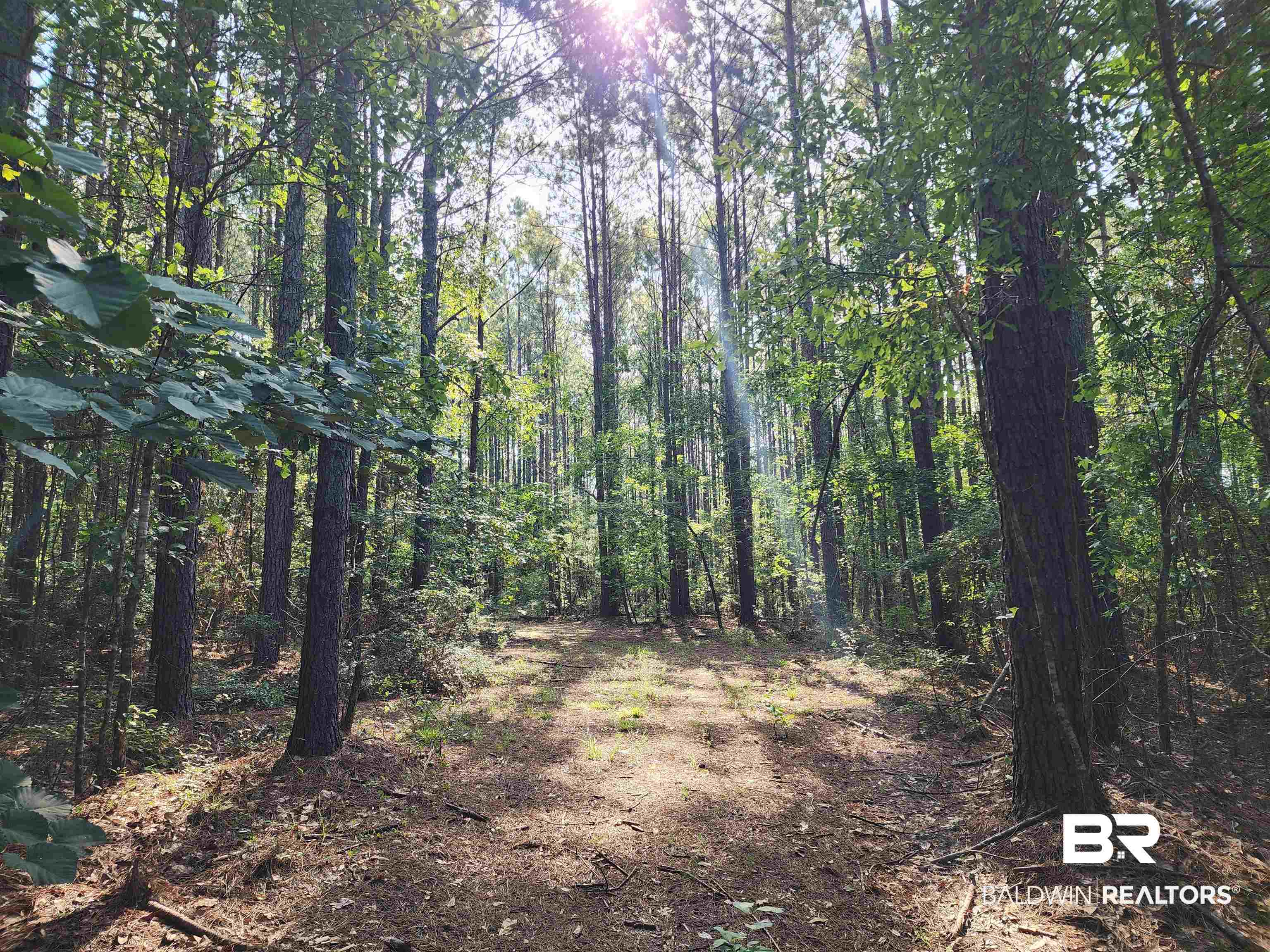 0 Lowery Road Atmore, AL 36502 - Photo 13 of 28