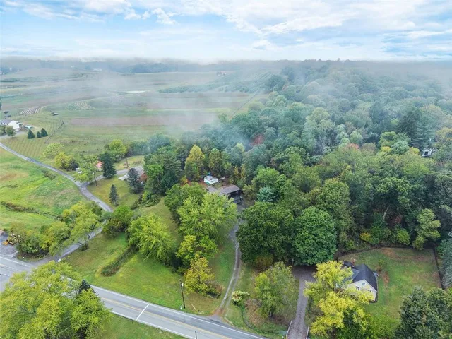 a view of a garden with plants
