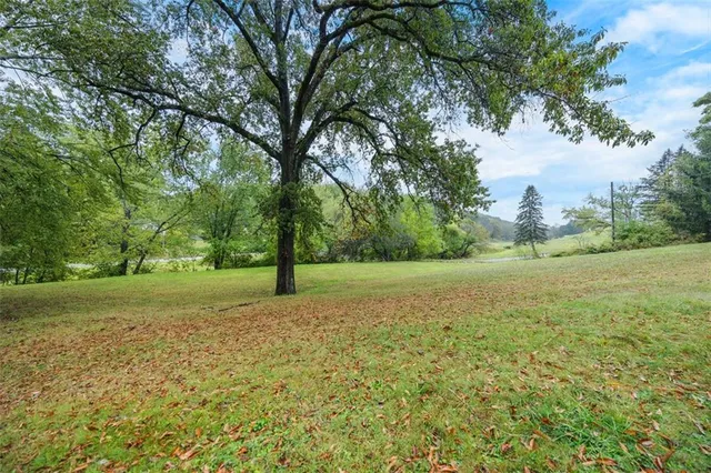 a view of a field with a tree in the background