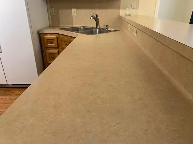 a close view of a sink and dishwasher