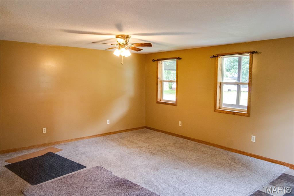 821 Locust Carrollton, IL 62016 - Photo 4 of 17