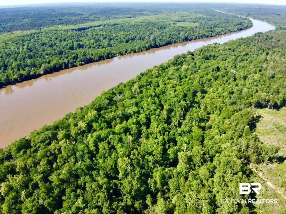 0 Country Road Uriah, AL 36480 - Photo 3 of 49