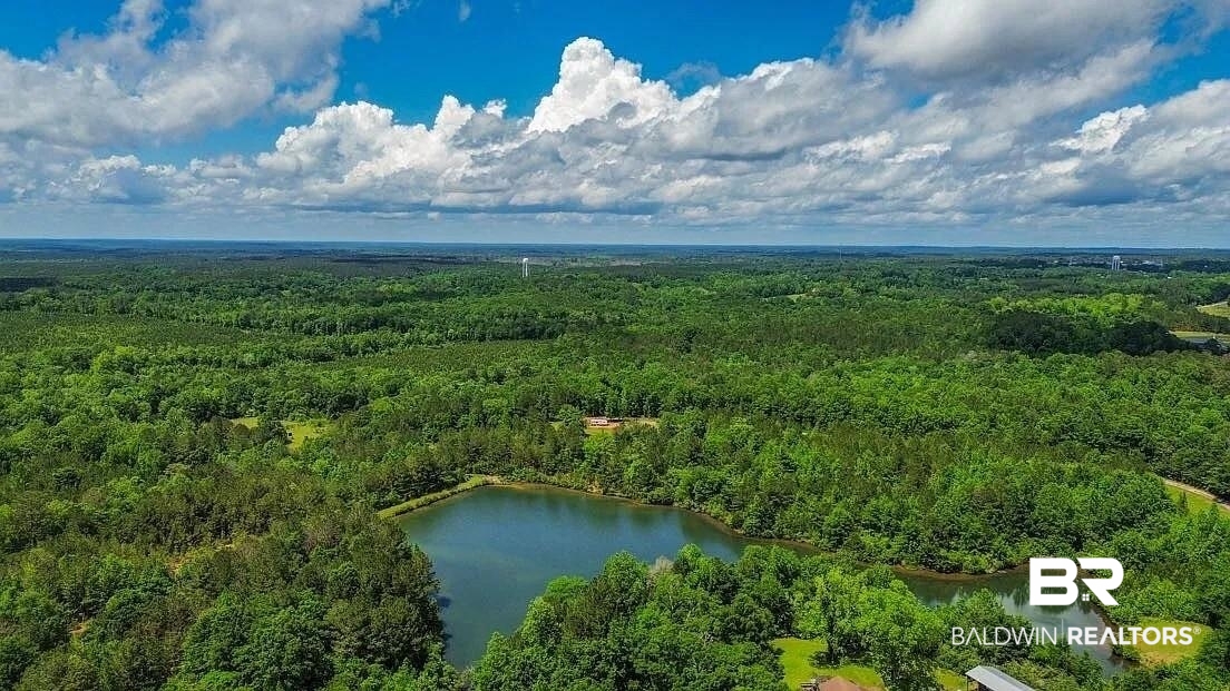 0 Loree Road Evergreen, AL 36401 - Photo 4 of 10 Drone / aerial view of a heavily wooded area and a large body of water