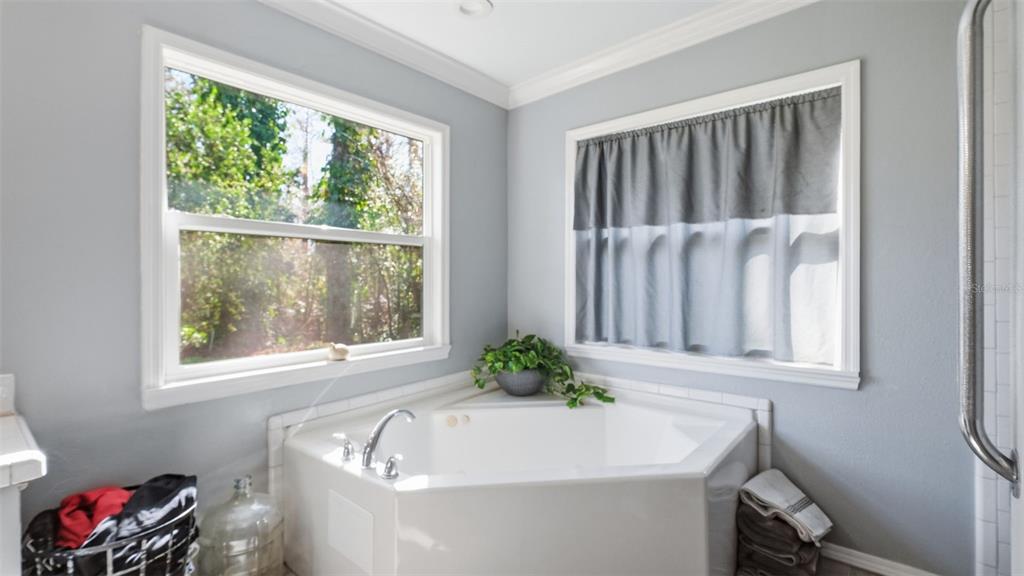 10565 Bessemer Street New Port Richey, FL 34654 - Photo 15 of 72 a white bath tub sitting in a bathroom next to a window